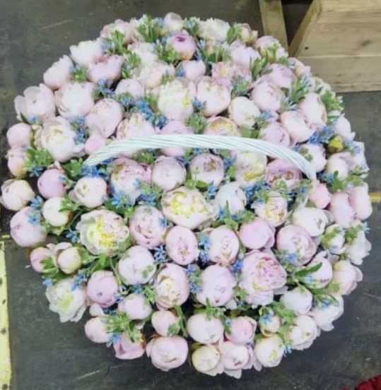 Нежное облако пионов